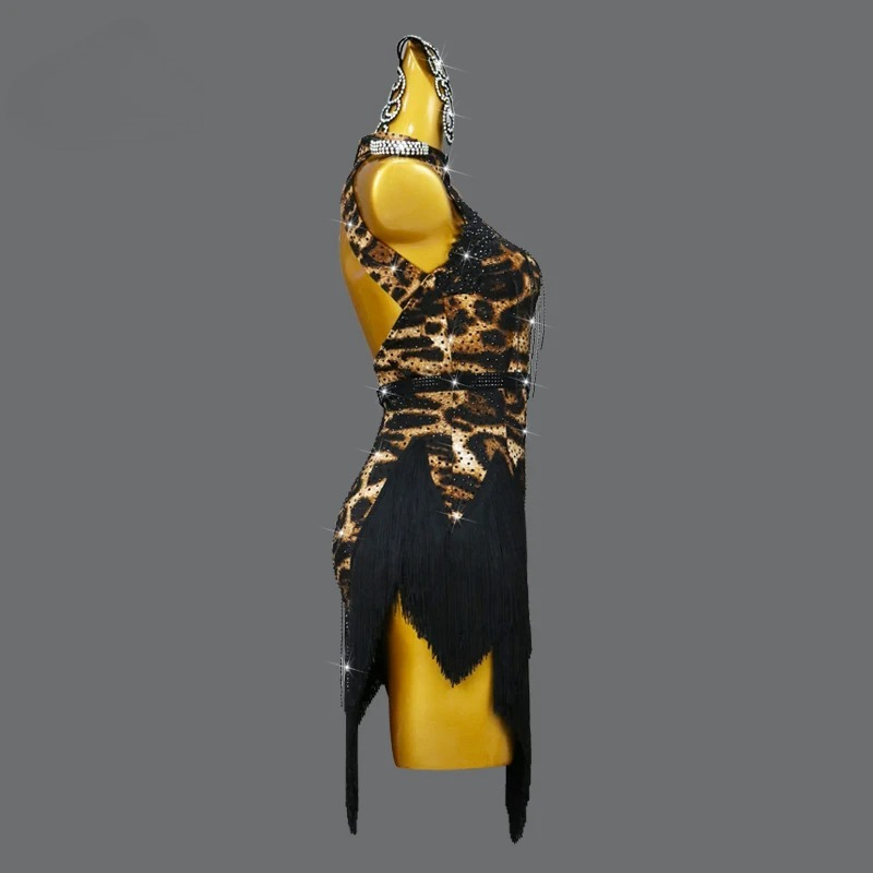 2026 Nieuwe Latin Dans Jurk Kl - Outdoor Sport Dress recensie en prijs